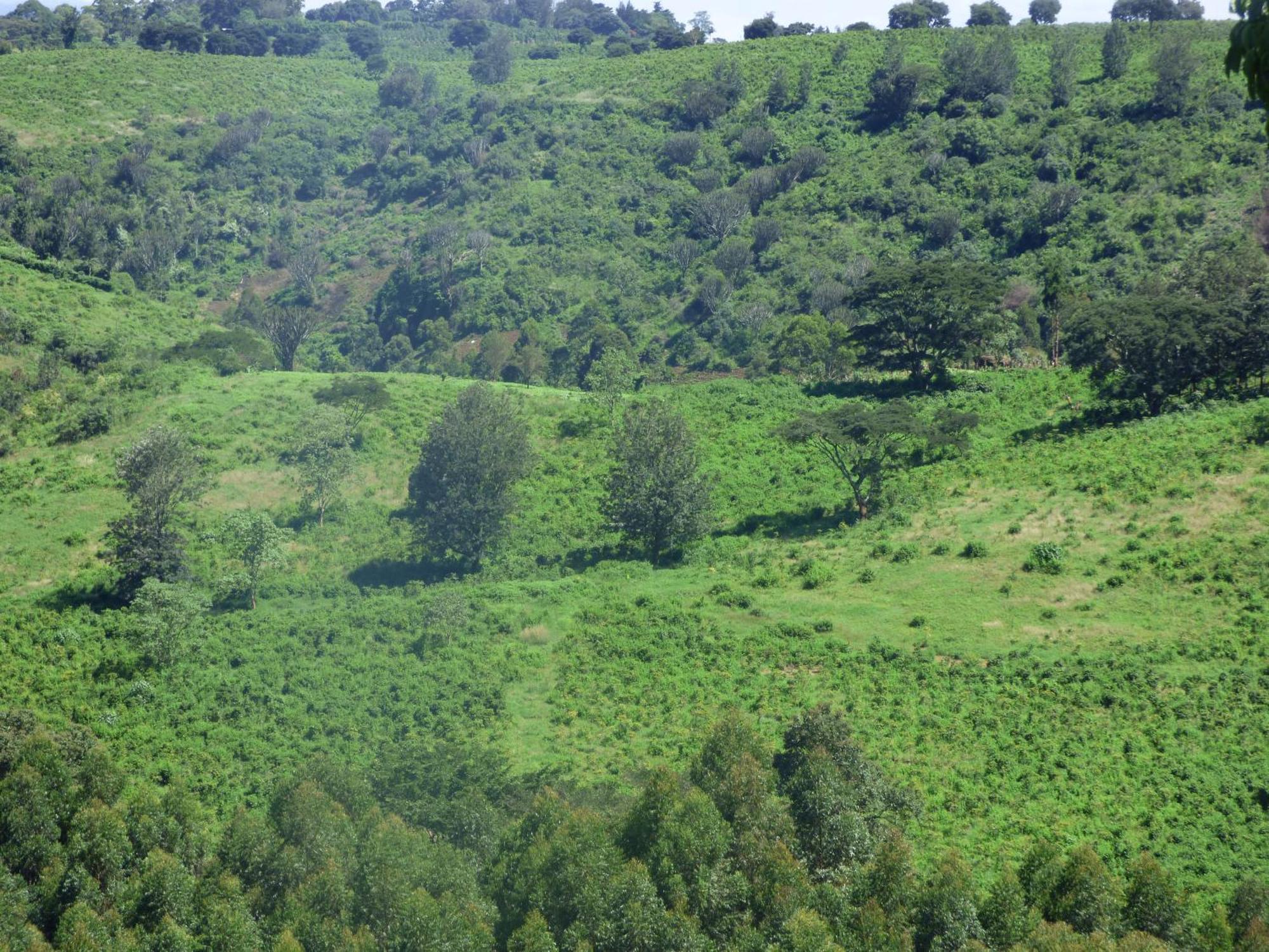 Le Pristine Wellness And Healing Hotel Nyeri Exterior foto